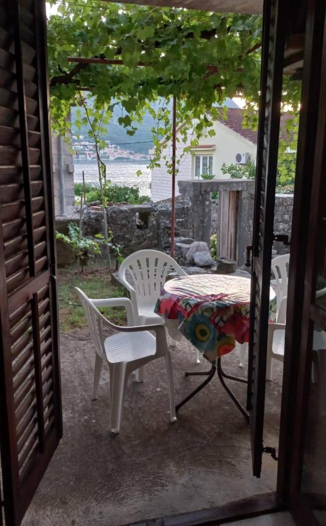 Apartments Vukasovic كوتور المظهر الخارجي الصورة